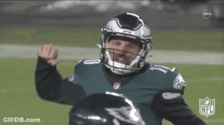 Minshew Pointing On Fan GIF