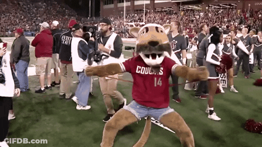 Minshew Tried Mascot Costume On GIF