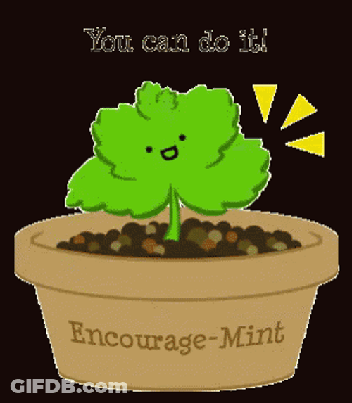 Mint In A Pot Encouragement GIF