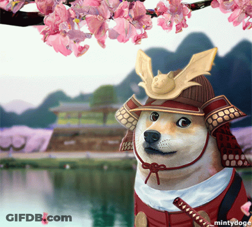 MintyDoge Samurai Dog GIF