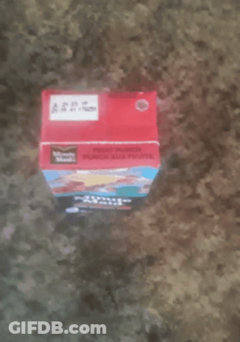 Minute Maid Fruit Punch GIF