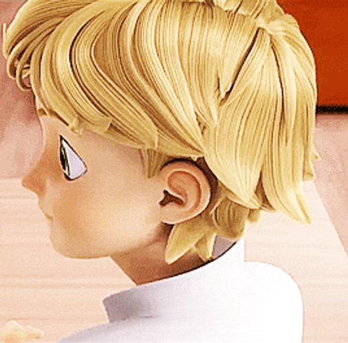 Miraculous Ladybug Adrien Agreste GIF