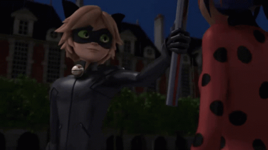 Miraculous Ladybug Adrien Cat Noir GIF
