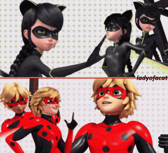 Miraculous Tale Mrbug And Ladynoir GIF