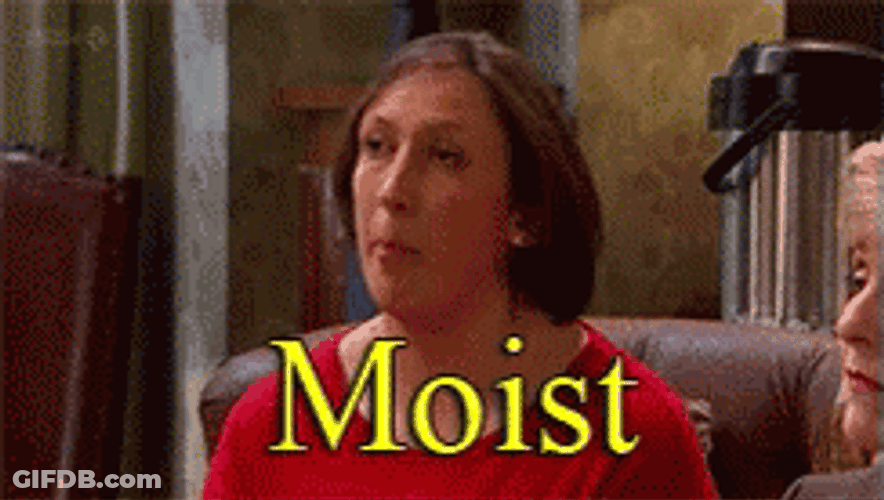 Miranda Hart Iconic Expression Moist GIF