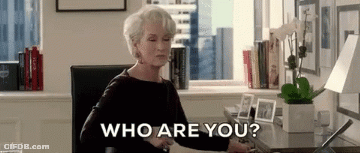 Miranda Priestly Who Are You GIF