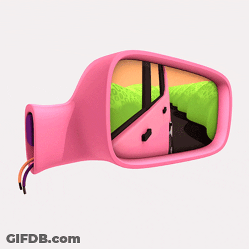 Mirror GIF