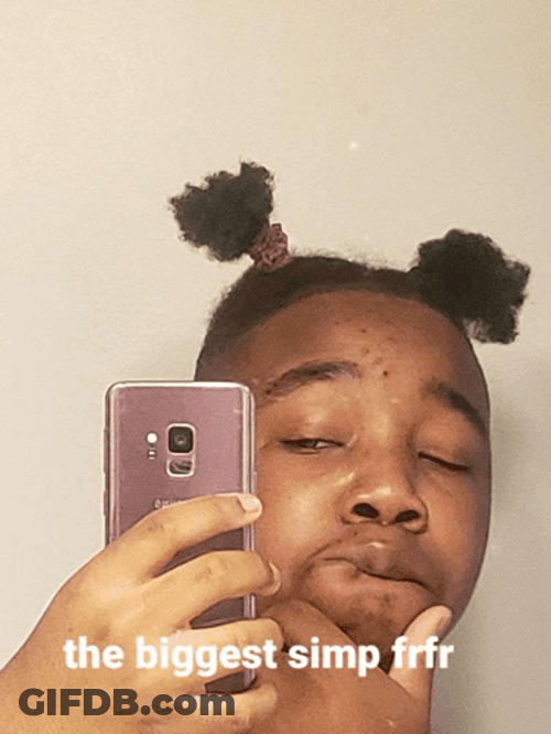 Mirror Selfie Of Simp GIF