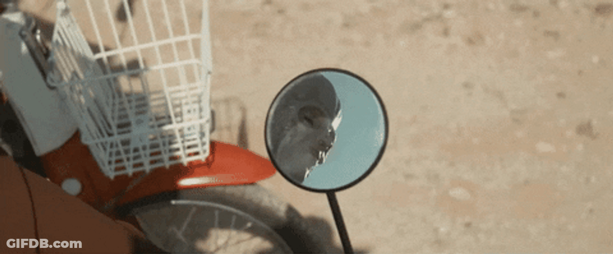 Mirror GIF