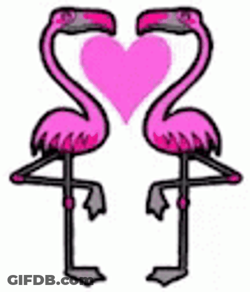 Mirrored Animated Flamingo GIF