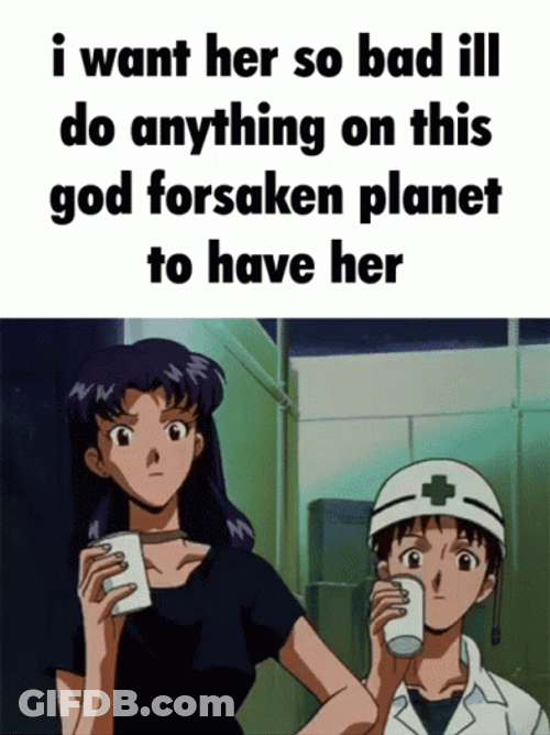 Misato And Shinji Ikari Anime Meme GIF