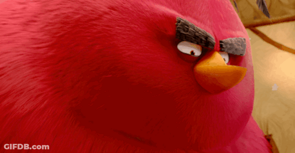 Mischievous Angry Birds Terence Staring GIF