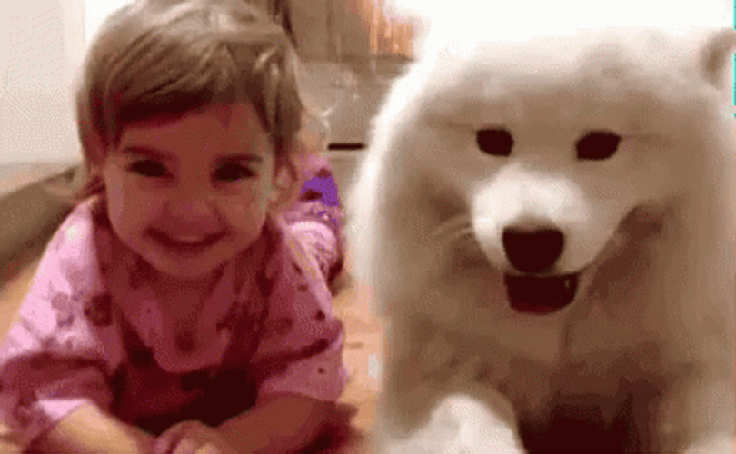 Mischievous Baby And Dog GIF