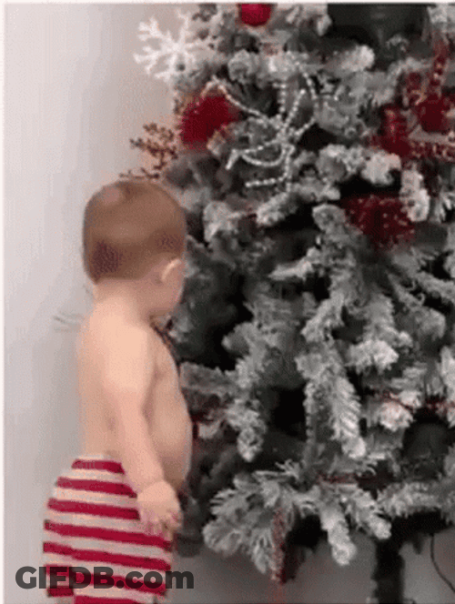 Mischievous Baby Stare GIF