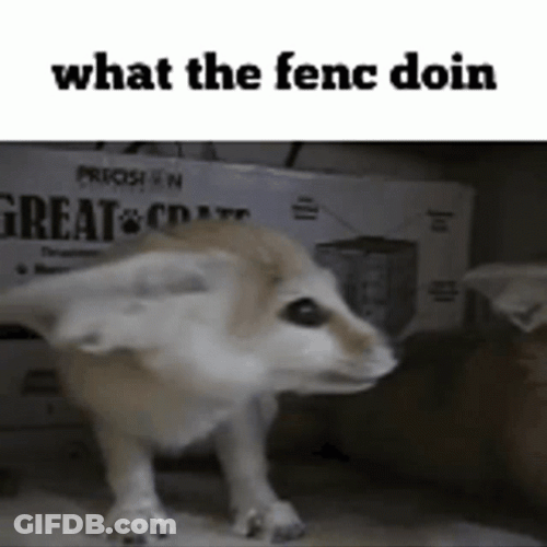 Mischievous Fennec Fox Frantic Movement GIF
