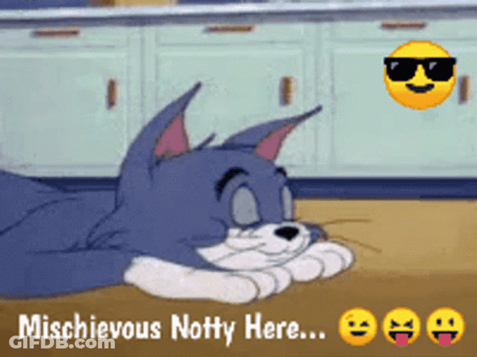 Mischievous Notty Here Tom GIF