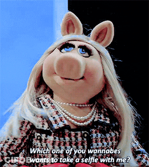 Miss Piggy Long Hair GIF
