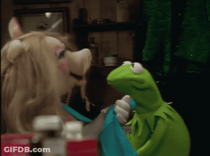 Miss Piggy Punches Kermit GIF