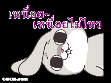 Miss Rabbit Singing Along With Two Lions GIF
