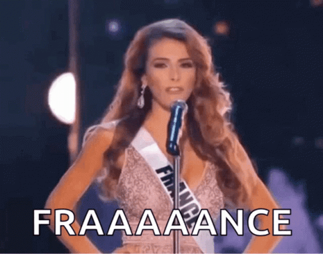 Miss Universe Candidate Representing France GIF