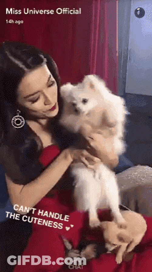 Miss Universe Miss Universe Vietnam GIF