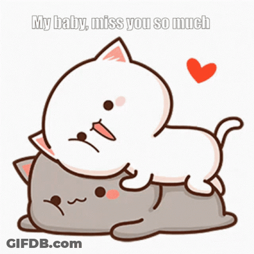 Miss You Cat Cuddles GIF