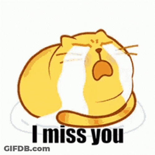 Miss You Crying Cat GIF