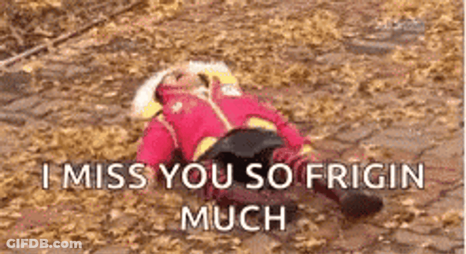 Miss You Crying Tantrum GIF
