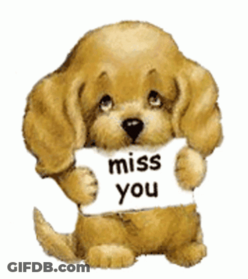 Miss You Sad Puppy GIF