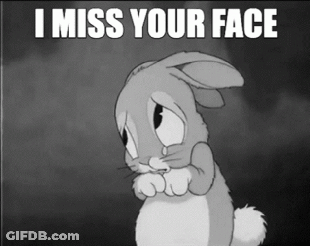 Miss You Shy Bunny GIF