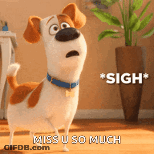 Miss You So Much Sad Dog Max GIF