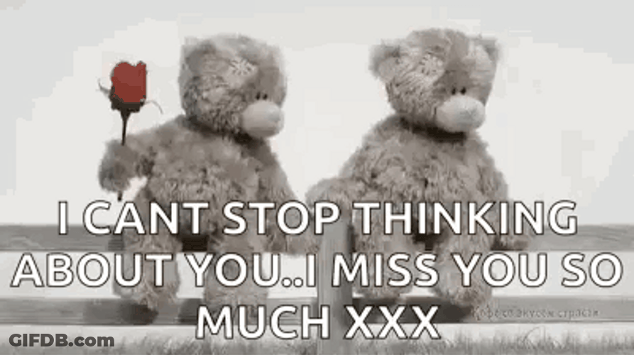Miss You So Much Teddy Bear Lover GIF