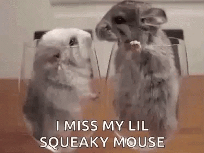 Missing My Lil Squeaky Mouse GIF