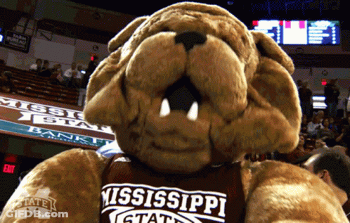 Mississippi Bulldog Mascot At Basketball Court GIF