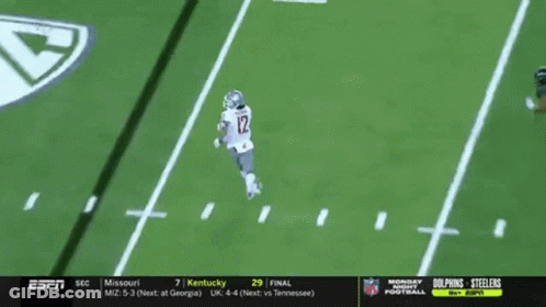 Missouri Kentucky Football Game GIF