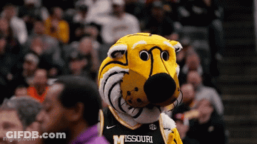 Missouri Mascot In Front Of Crowd At Basketball Game GIF