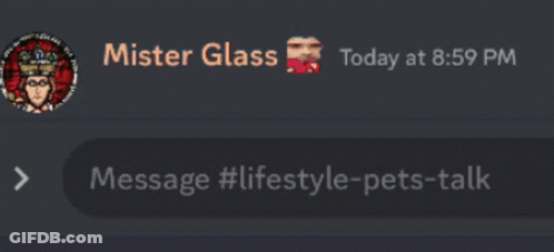 Mister Glass Conversation With Frog GIF