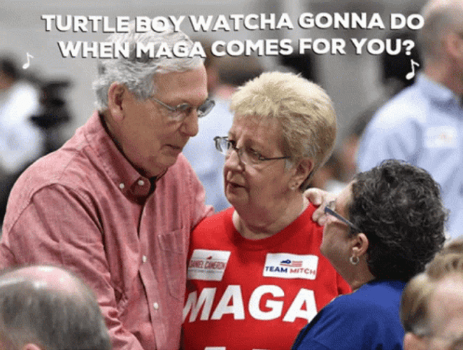 Mitch McConnell Turtle Boy Meme GIF