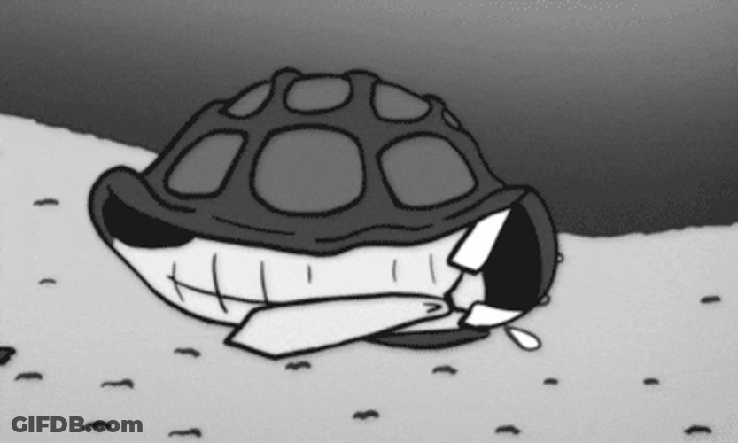 Mitch Mcconnell Turtle Peeping GIF