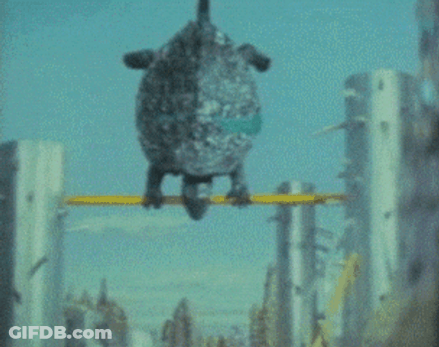 Mitch Mcconnell Turtle Playing GIF