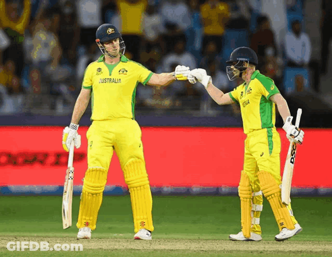 Mitchellmarsh Davidwarner GIF