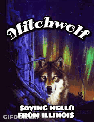 Mitchwolf Wolf Poster Saying Hello From Illinois GIF