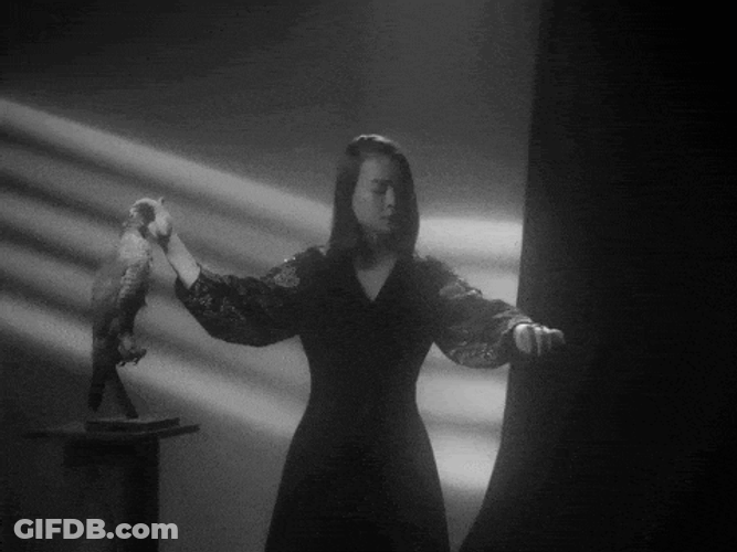 Mitskifan123 Clip Vevo Mitski GIF