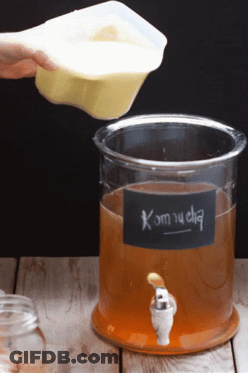 Mixing Milk With Kombucha GIF