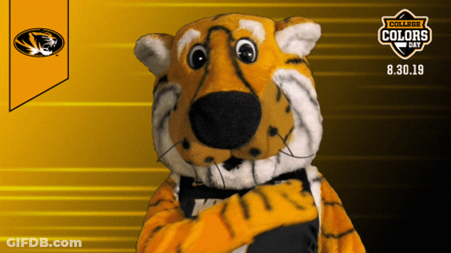 Mizzou Brushing Truman The Tiger Shirt Off GIF