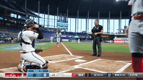 MLB Baseball Game Washington Nationals GIF