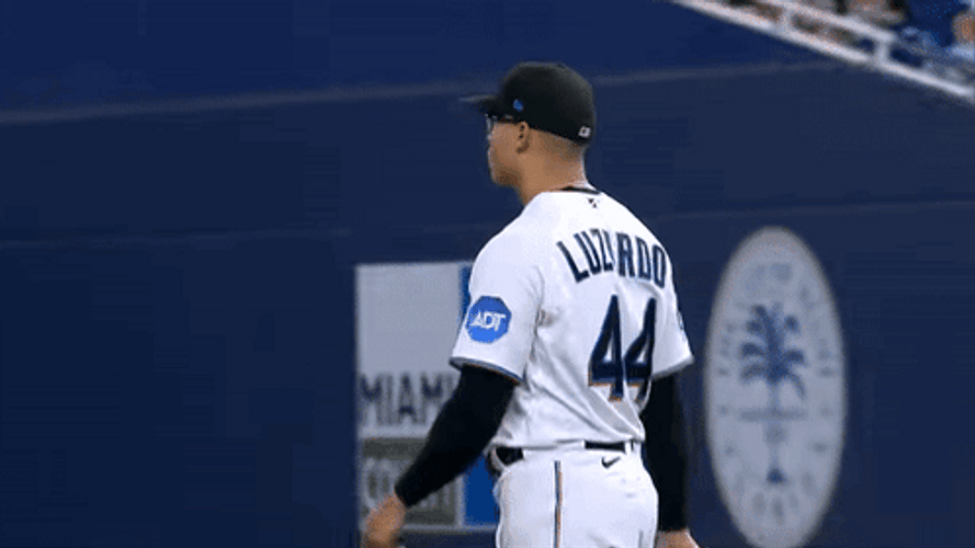 MLB Miami Marlins Jesus Luzardo GIF