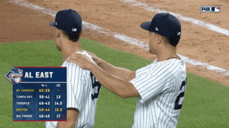 MLB New York Yankees Players GIF