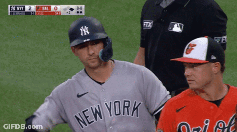 MLB NY Yankees Kyle Higashioka GIF