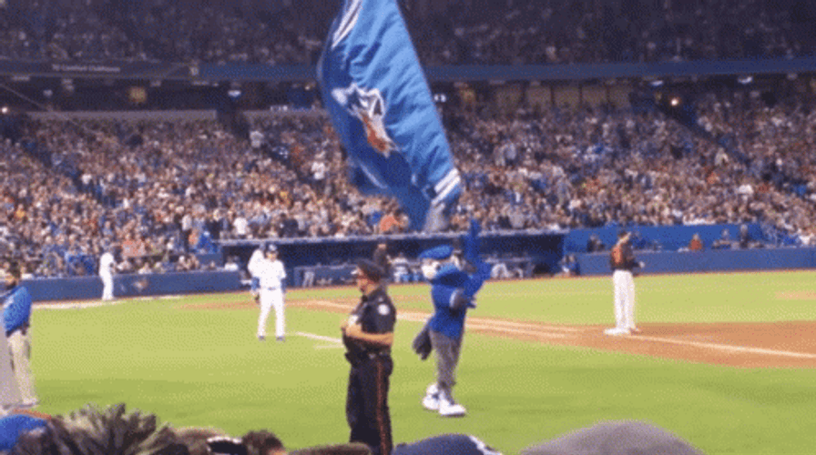 MLB Toronto Blue Jays Mascot Waving Flag GIF